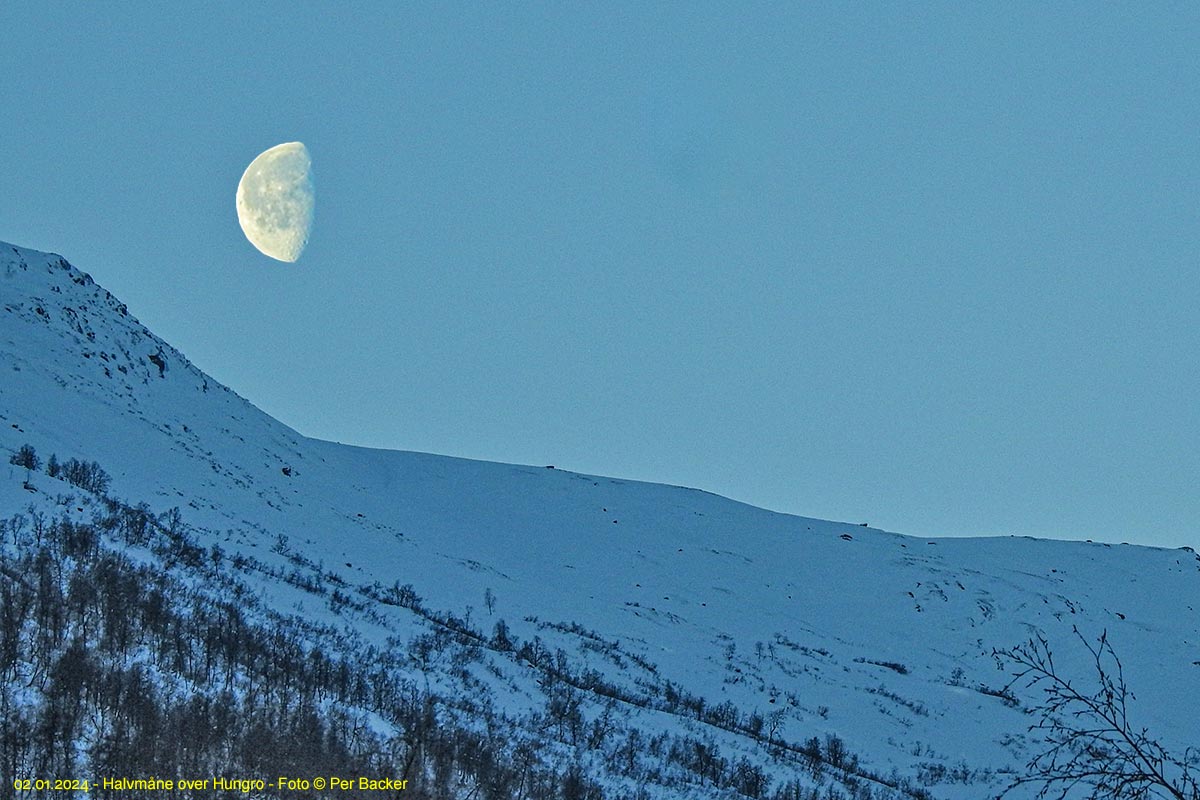 Halvmåne over Hungro