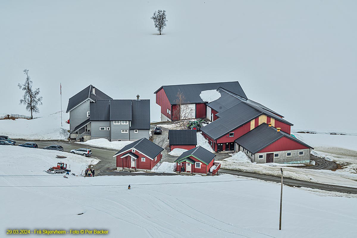 Frå Skjervheim