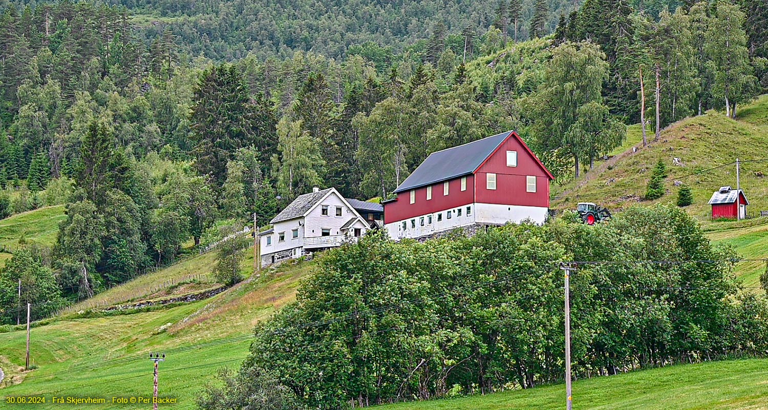 Frå Skjervheim