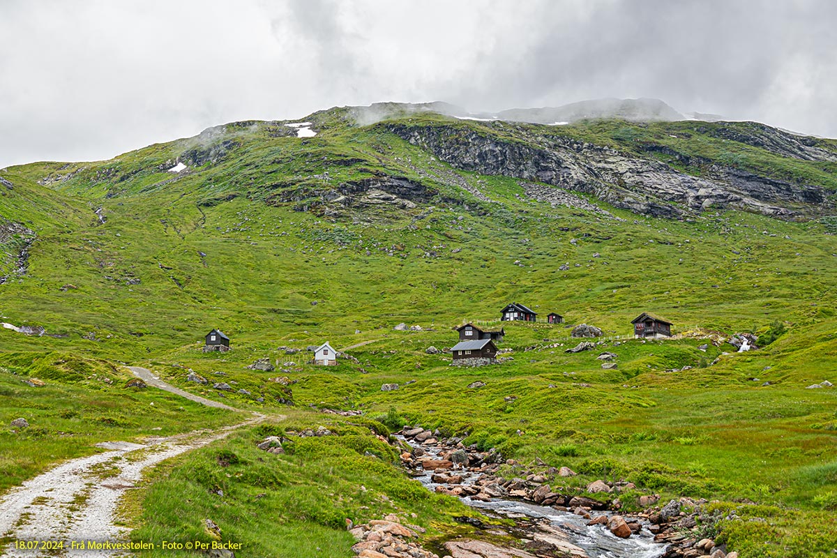 Frå Mørkvesstølen