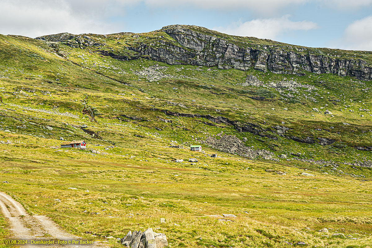 Frå Dueskardet