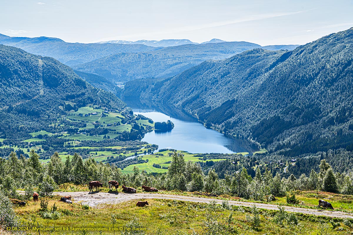 Myrkdalen sett frå Skjervheimsstølen