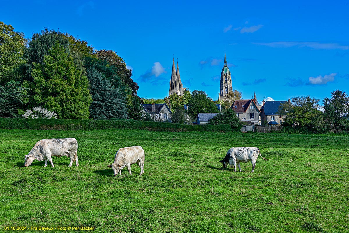Frå Bayeux
