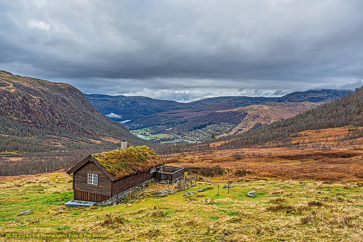 Frå Revhaugen